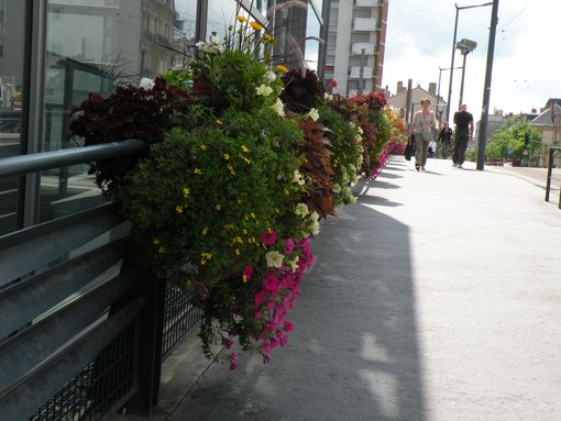  pots de fleurs, sur le pont de l'avenue Foch